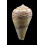 mercator 38,1mm