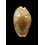spurca 26,0mm