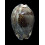 grayana 56,5mm SUPERB