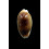 errones 33,8mm NR
