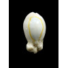 annulus "bunny" 22,8mm