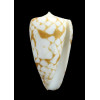 nobilis bitleri 42,3mm RARE