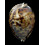 flriendii vercoi 85,4mm