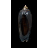 miniacea marrati 89,0mm