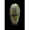 vidua albofasciata 53,0mm