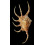 pilsbri 220,0mm big