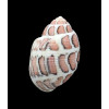 eloisae 31,1mm BIG
