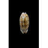 cervinetta 55,8mm DWARF