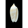 fulgurator 58,0mm