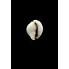 annulus 16,0mm BUBBLE
