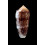 floccatus 71,0mm BIG