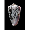 bazarutensis 58,5mm BIG