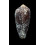 paramagnificus 54,0mm