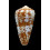 natalis gilchristi 58,0mm