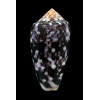 floccatus 64,0mm DARK