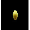 moneta 18,0mm NR