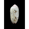 splendidula 56,0mm GIANT