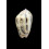 incrassata burchora 41,0mm