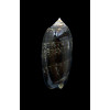 oldi 50,0mm VANUATU