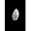 biplicata 22,0mm