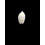 kwajaleinensis 14,0mm