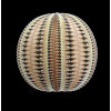 formosus 38,71mm BIG