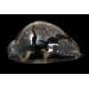 maculifera 65,5mm DARK