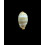 lutea 22,0mm SP