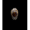 stercoraria 40,0mm DWARF