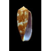 obscurus 40,0mm BIG