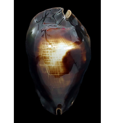 rosselli 58,0mm