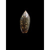 duclosi 26,0mm