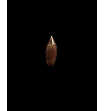 bitleri 18,0mm