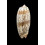 miniacea 81,0mm FIDJI