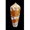 gubernator 72,0mm ORANGE
