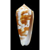 gubernator 72,0mm ORANGE