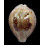 valentia 88,0mm