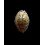 arabicula 30,0mm