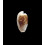 capensis 29,0mm SUPERB