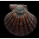 arthriticus 94,6mm DARK