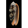 flammeacolor 95,0mm
