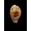 pyrum 42,0mm