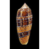 dusaveli 74,0mm SUPERB