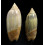 acuminata 70/61mm