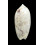 ponderosa 56,3mm  BIG