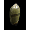 vidua 50,4mm