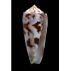 gubernator 79,0mm