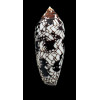 aulicus michelcharlesi 72,8mm