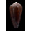pennaceus pseudoecho 73,0mm BIG