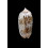 splendidula 42,0mm